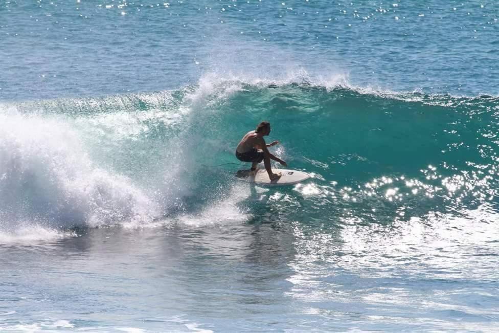 Sundance Surf Coconut Point Hotell Weligama Eksteriør bilde