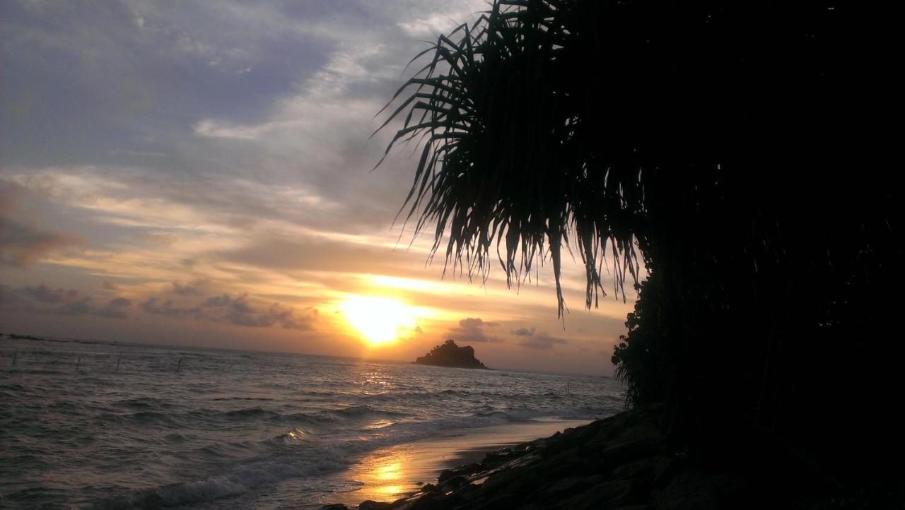 Sundance Surf Coconut Point Hotell Weligama Eksteriør bilde